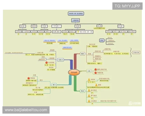 DS视讯平台的客户服务与技术支持详解，确保您的游戏体验无忧