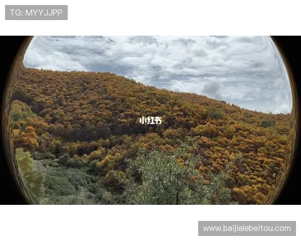 新加坡云顶高原最佳旅游季节:天气、节庆活动与旅游高峰期分析 新加坡云顶高原最佳旅游季节:天气、节庆活动与旅游高峰期分析