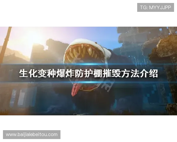 选择真人对赌官网时需要注意的安全防护措施与技巧